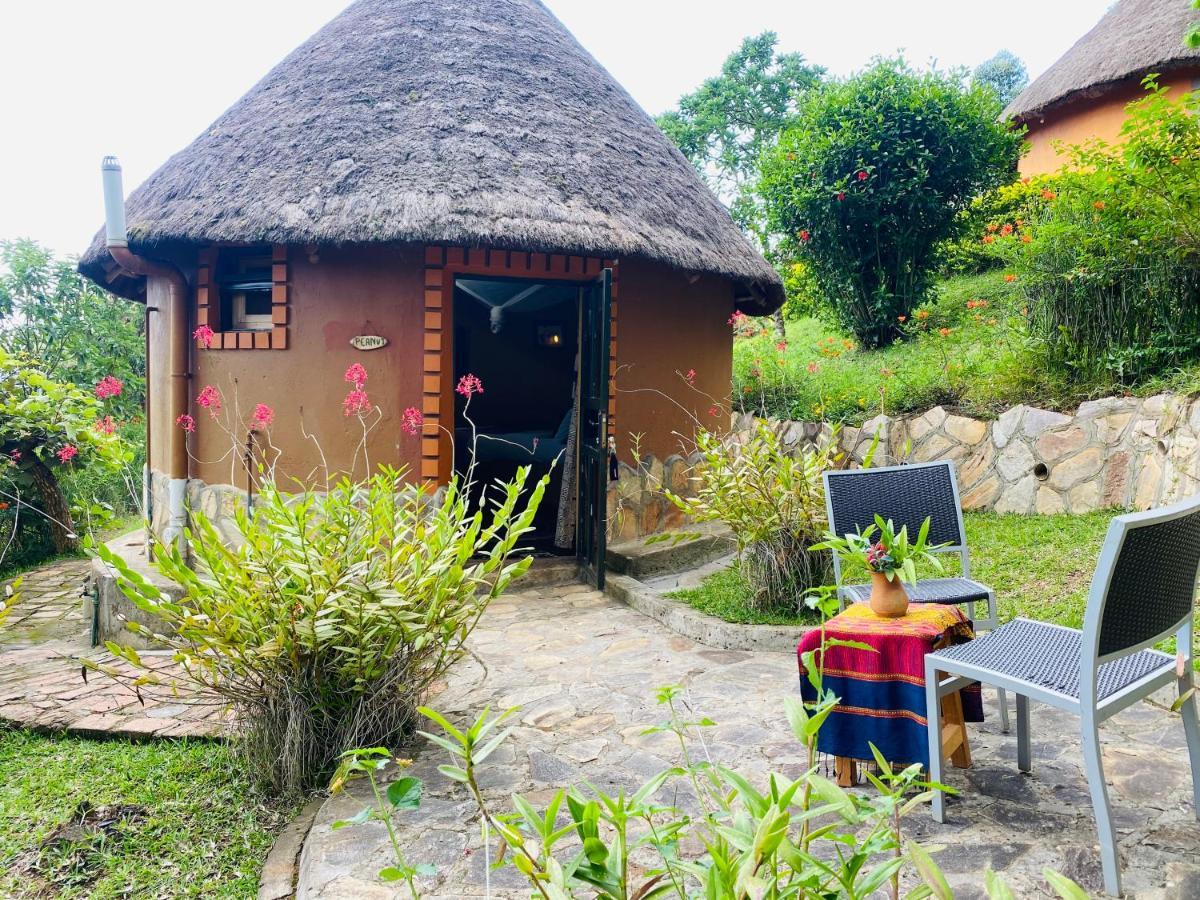 Nyore Hillside Retreat Mbarara Екстериор снимка