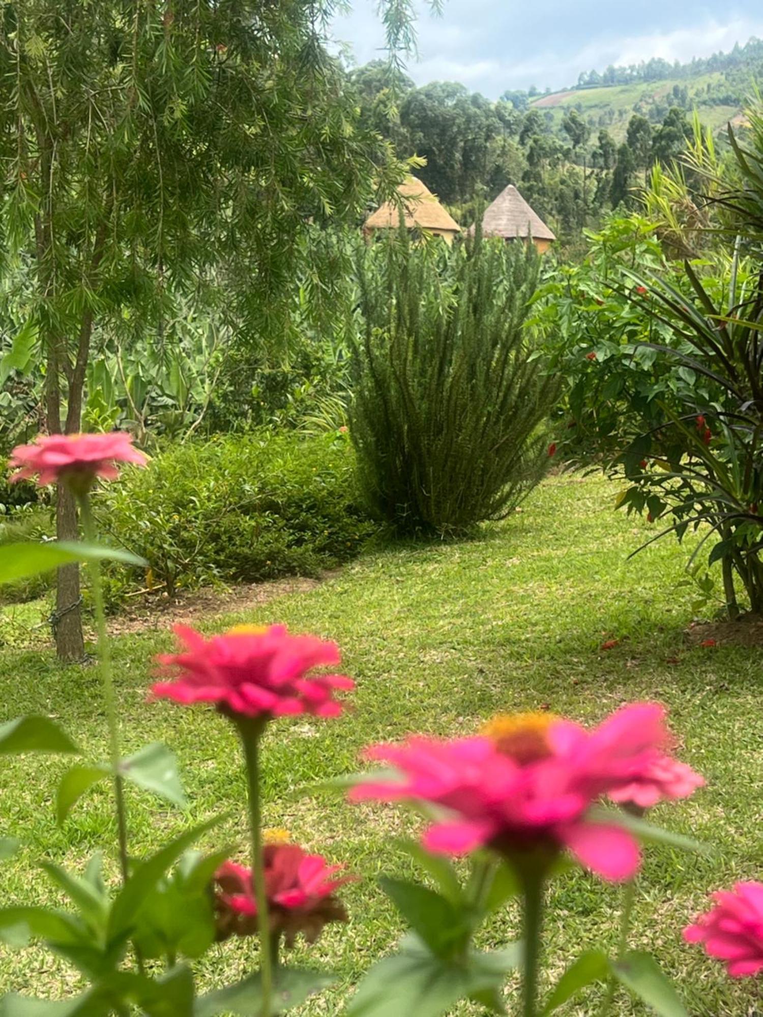 Nyore Hillside Retreat Mbarara Екстериор снимка