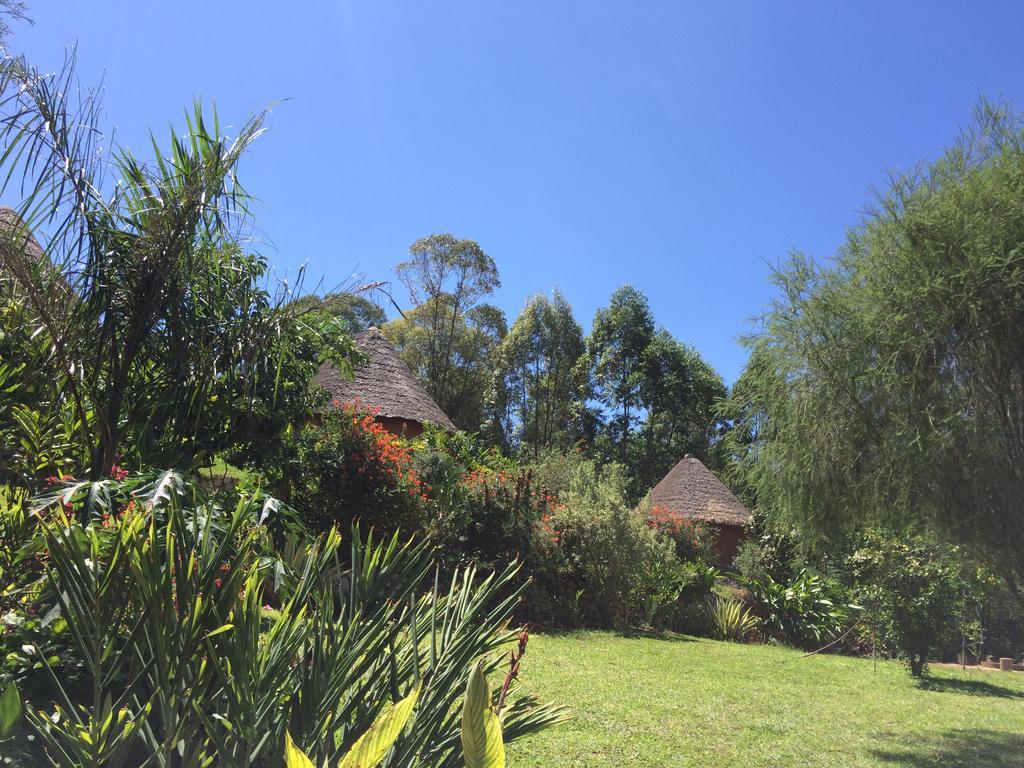 Nyore Hillside Retreat Mbarara Екстериор снимка