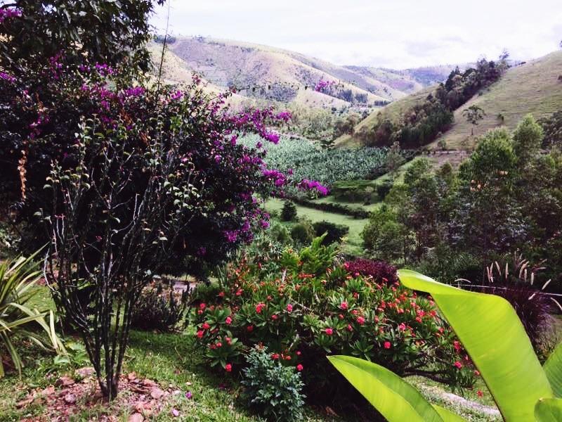 Nyore Hillside Retreat Mbarara Екстериор снимка